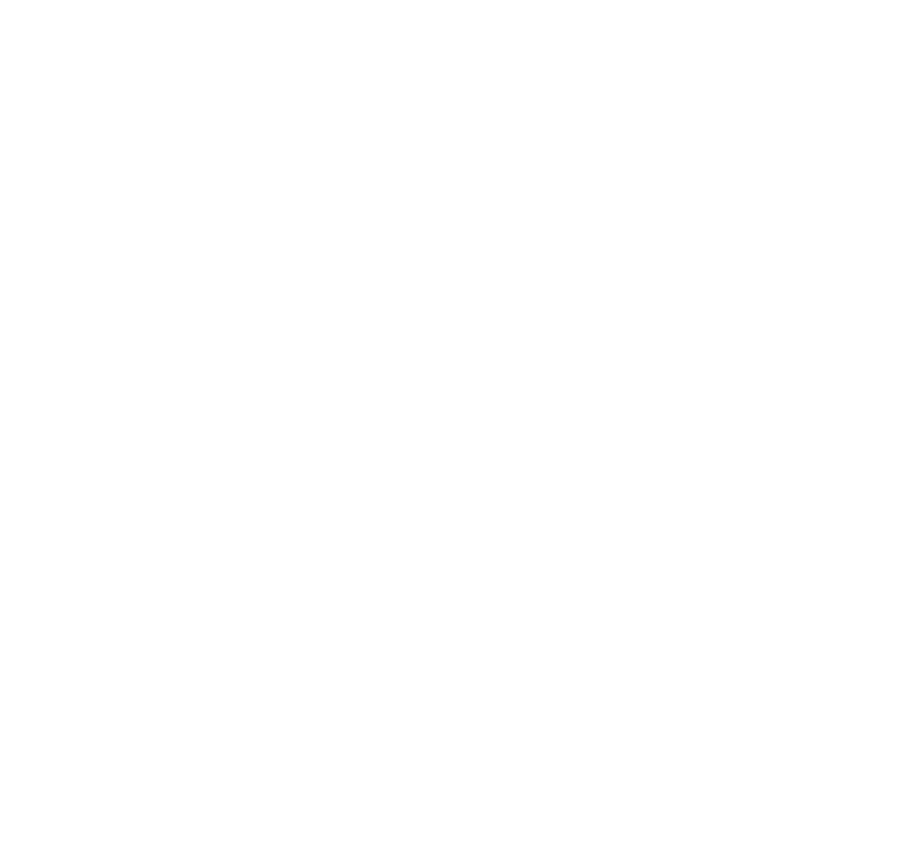 Logo Hayloé validé - blanc